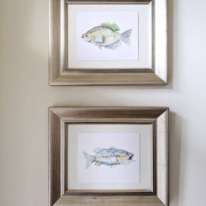 May include: Two framed watercolor paintings of fish. The top painting features a green and brown fish with a green leafy growth on its back. The bottom painting features a blue and green fish with a white stripe.