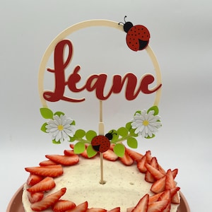 Topper per torta rosa per bambina con coccinella e margherita da personalizzare con il nome che preferisci. Decorazione per torta rossa ed ecru