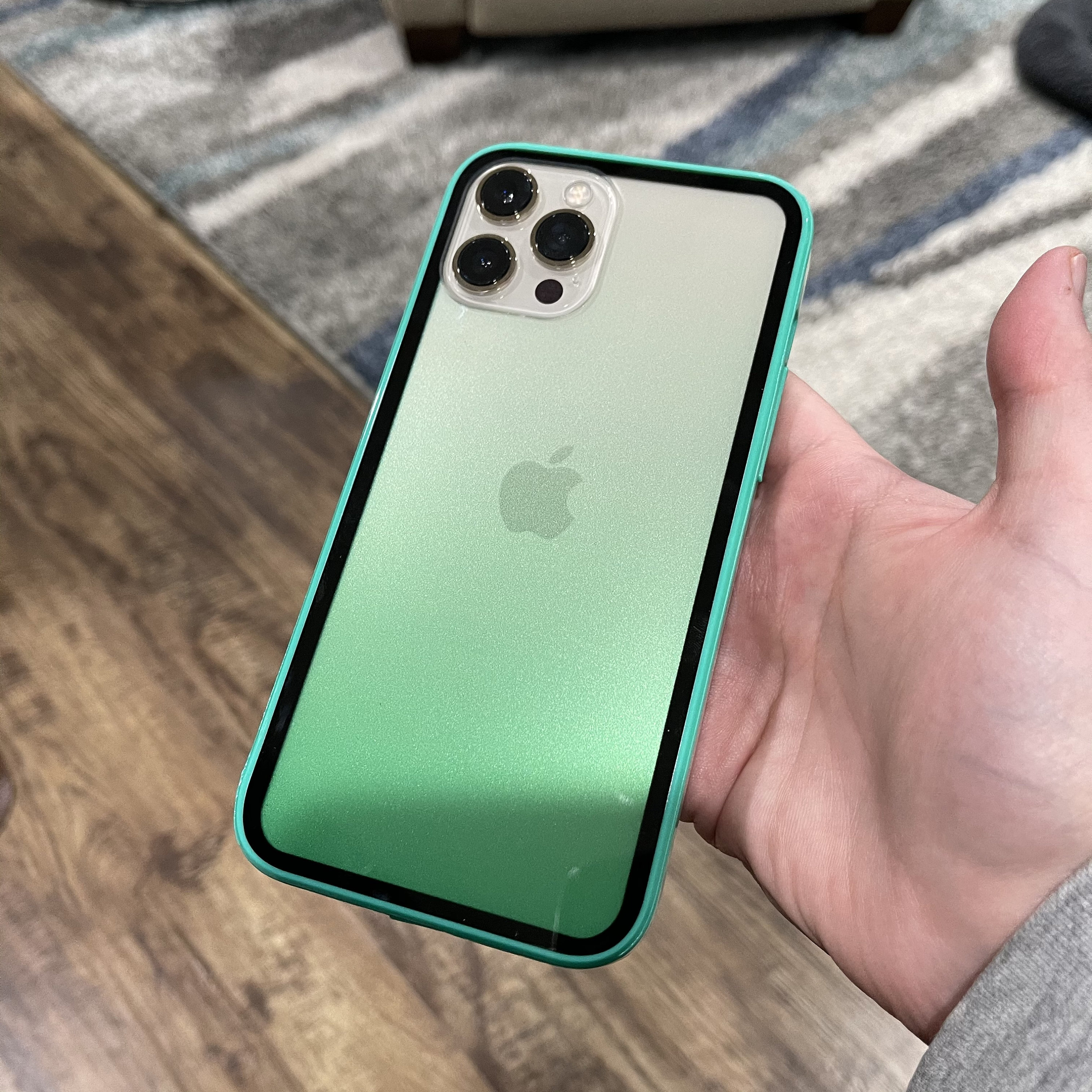 Mint Green Clear Ombre iPhone 12 iPhone 12 Pro and iPhone 12 Etsy