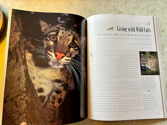 Wild Cats of the World - Barbara Sleeper and Art Wolfe