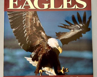 Eagles 1985 ワールドツアー ブックレット Amazon.com: Classic Eagles: Authentic Guitar TAB (Authentic Guitar