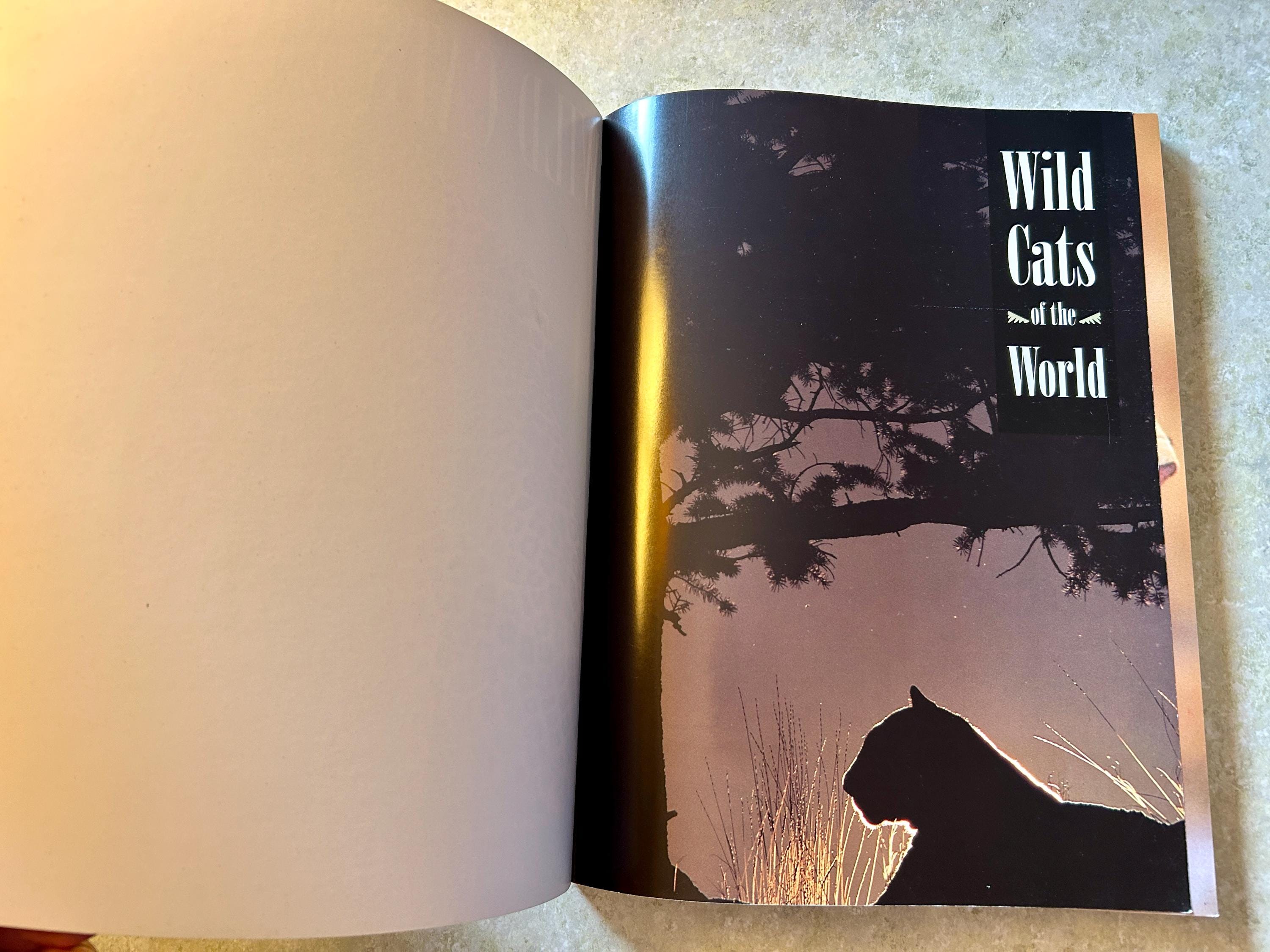 Wild Cats of the World - Barbara Sleeper and Art Wolfe