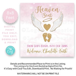 Heaven Sent Baby Shower Backdrop: Angel Wings, Girl Theme (Digital Print File)