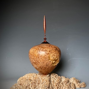 Maple Burl Hollow Form Vessel Vase