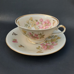 Mitterteich Bavaria Pink Floral Bone China Tea Cup and Saucer Set Germany Vintage
