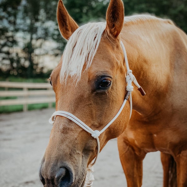 Halter de cuerda suave, cabestro de trabajo preliminar, halter de equitación natural, equitación de la libertad