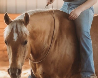 Blondie Neck Rope: Paracord Wrapped Liberty Line for Horses