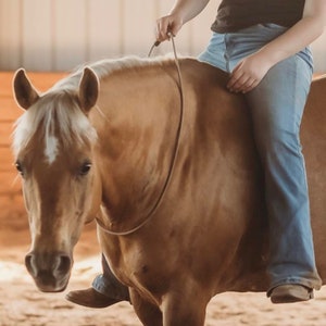 Blondie Neck Rope: Paracord Wrapped Liberty Line for Horses