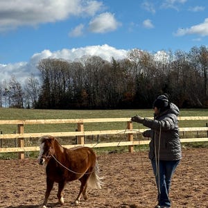Liberty Line, Featherline, Groundwork line, Horsemanship rope
