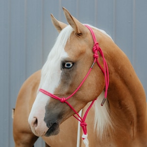 SOFT Rope Halter, Groundwork halter, Natural Horsemanship Halter, Liberty Horsemanship