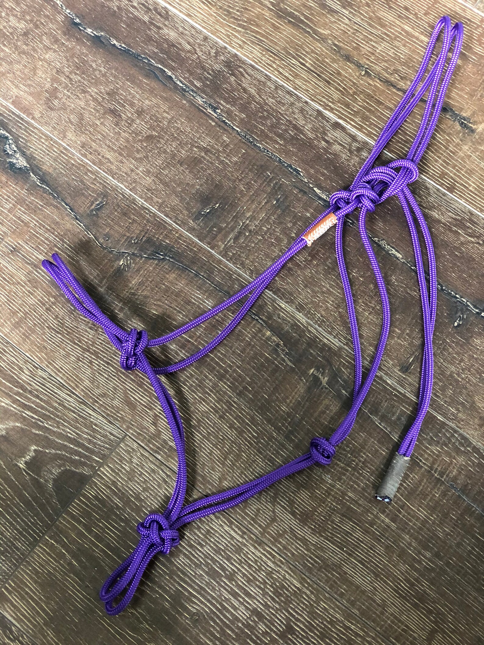 Purple Firm Rope Halter w Matching 12ft Turquoise/Purple zig Etsy