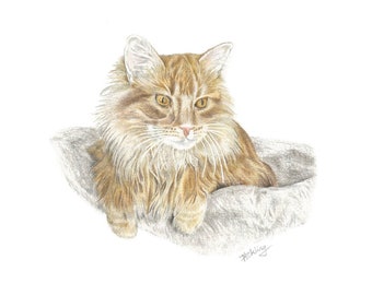Cat Art Printable, Coloured Pencil Drawing of Cat, Cat Wall Art, Animal Art, Cat Lovers Art