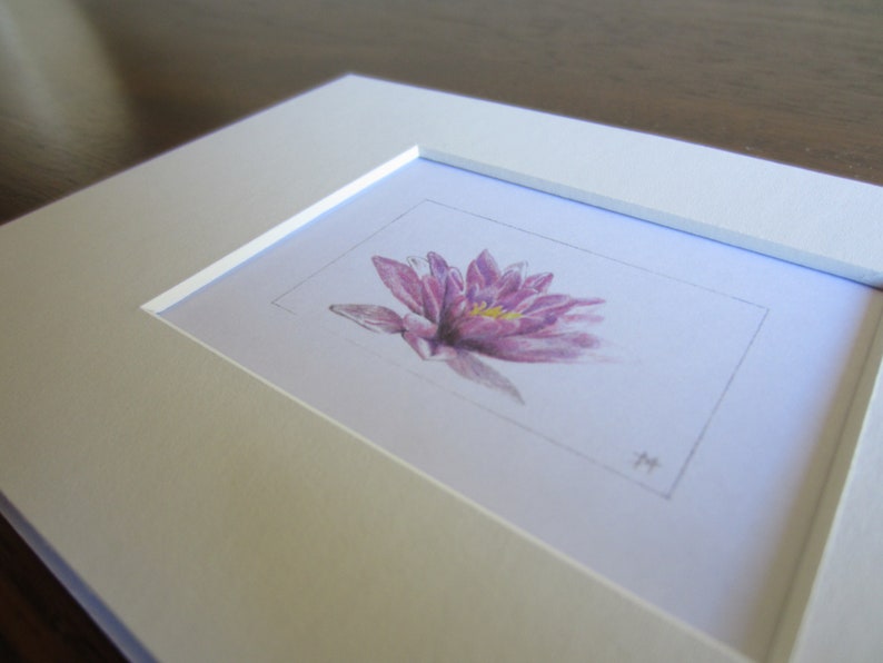photo Colour Pencil Sketches Of Flowers botanical photo flowers floral trio