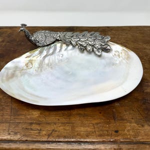 May include: A decorative, iridescent white seashell dish with a silver-colored peacock figurine. The peacock is perched on the edge of the shell, its tail fanned out. The dish is set on a wooden surface.