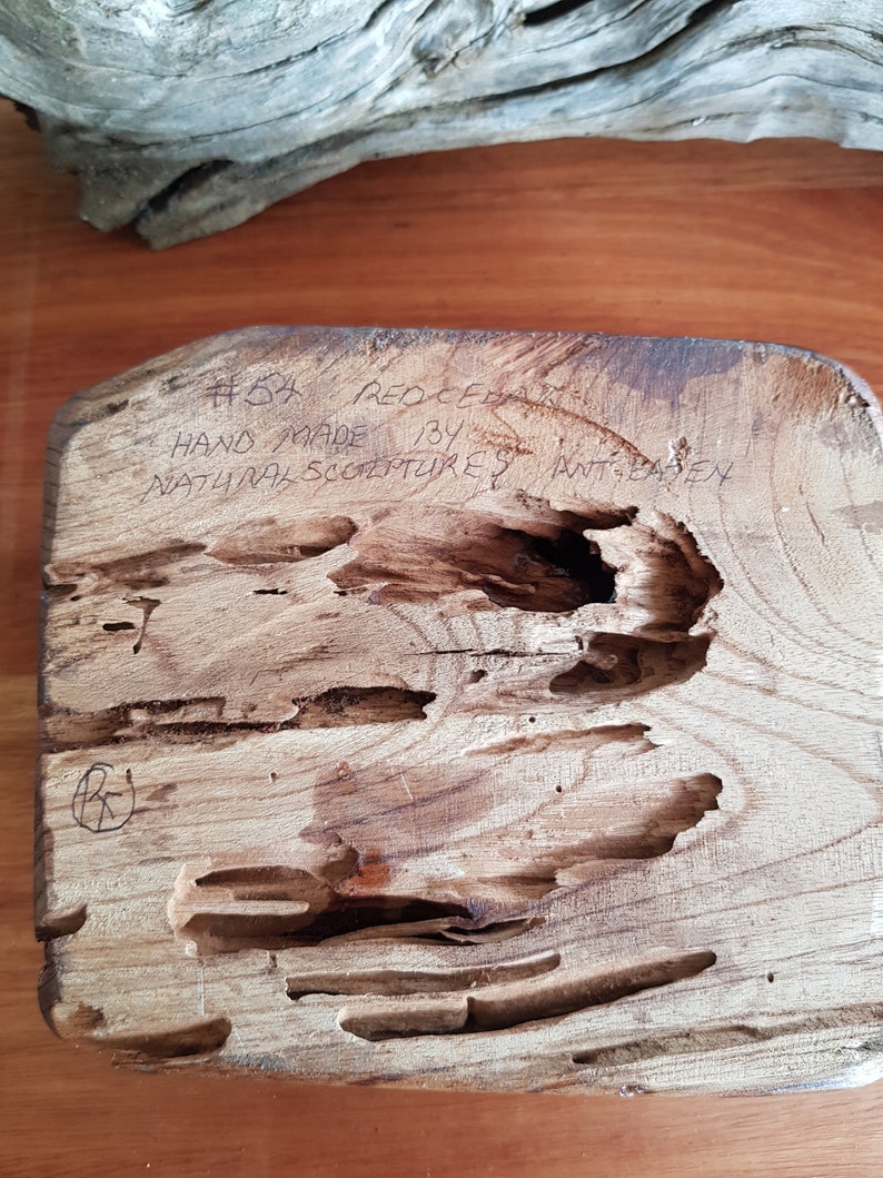 54 Handmade recycled Hardwood wooden Red Cedar /'ant eaten/' shaped Jewelry box hand carved reclaimed wood sustainable found wood #54