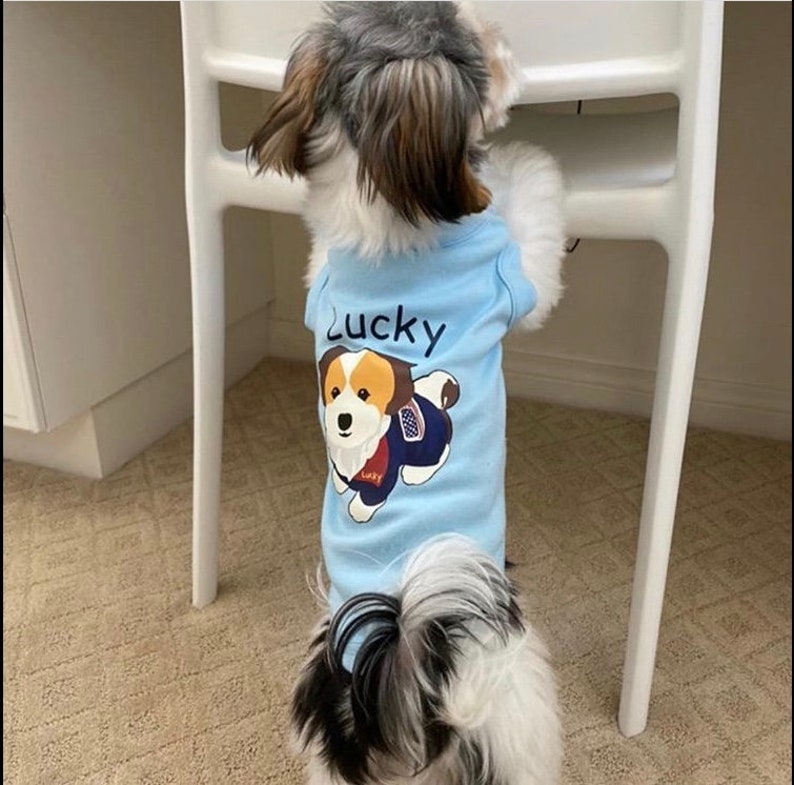 Create Your Own Dog Shirt Etsy