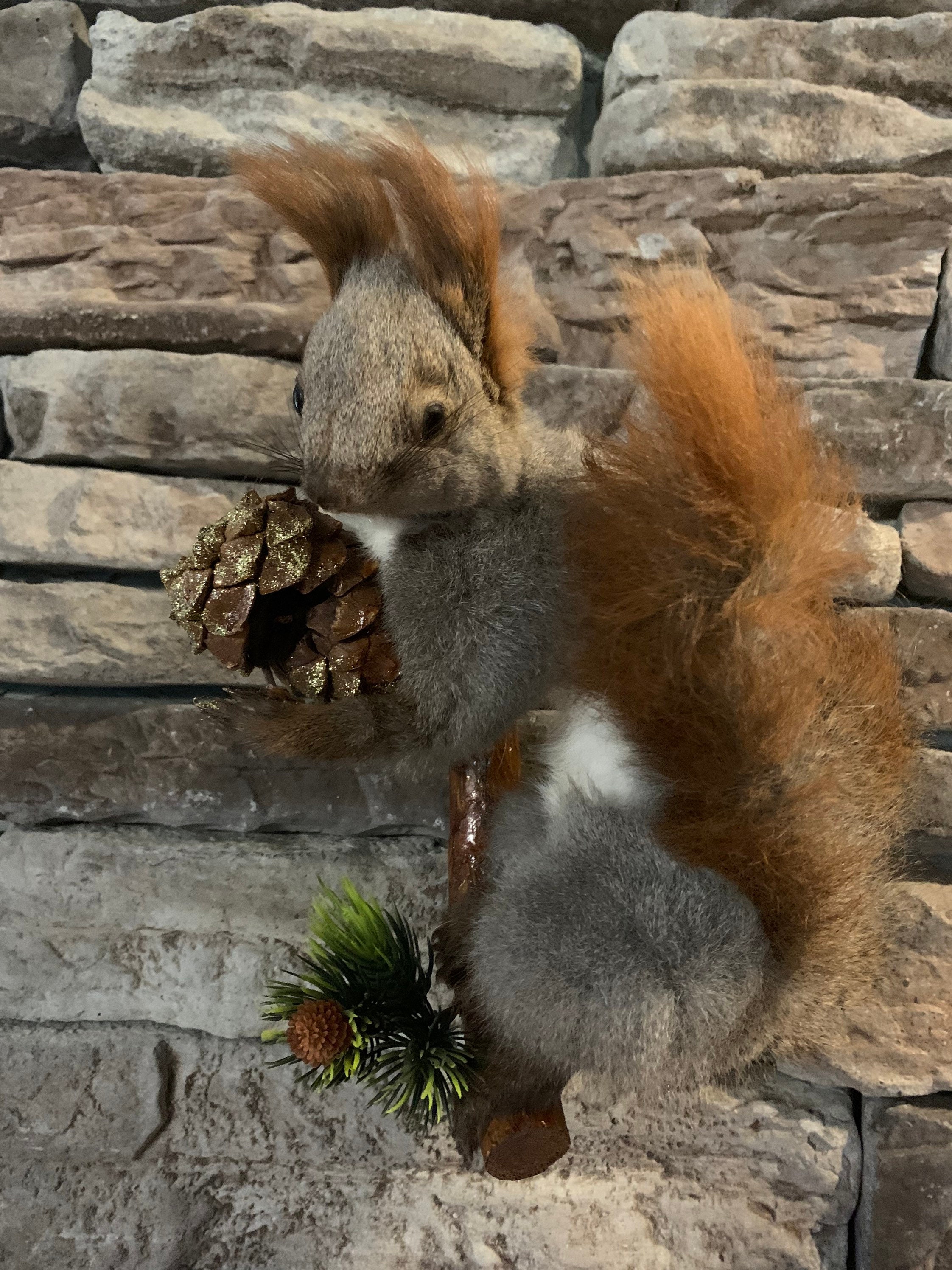 stuffed squirrel for sale