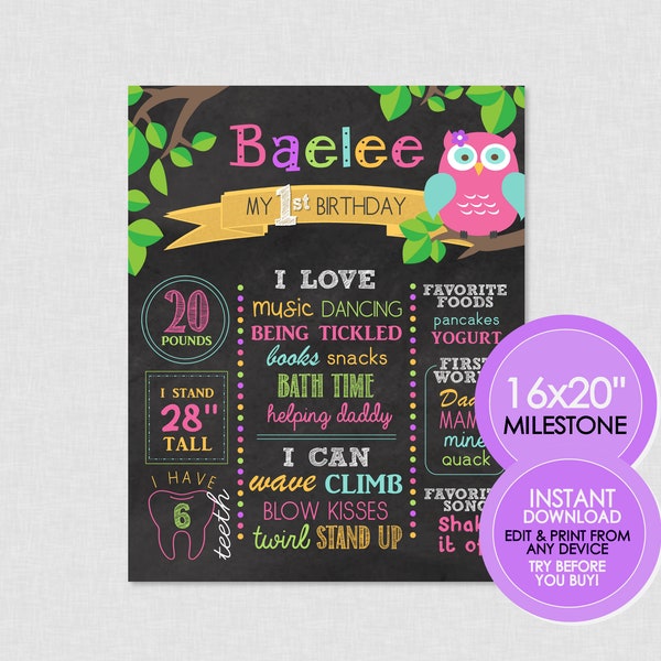 Owl Birthday Milestone Poster - EDITABLE INSTANT DOWNLOAD - Owl Birthday, Chalkboard Sign, Owl Chalkboard Poster, 1st Birthday