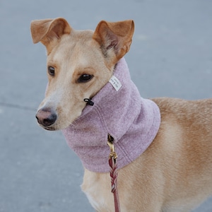 Könnte beinhalten: Ein hellbrauner Hund trägt einen lavendelfarbenen Fleece-Halswärmer und eine passende Leine. Die Ohren des Hundes sind aufgestellt, und er blickt nach links. Der Halswärmer hat ein kleines weißes Etikett mit schwarzem Text.