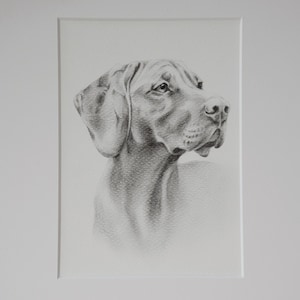 Hand-drawn dog portrait Personalized dog portrait, dog drawing, individual dog portrait, pet portrait