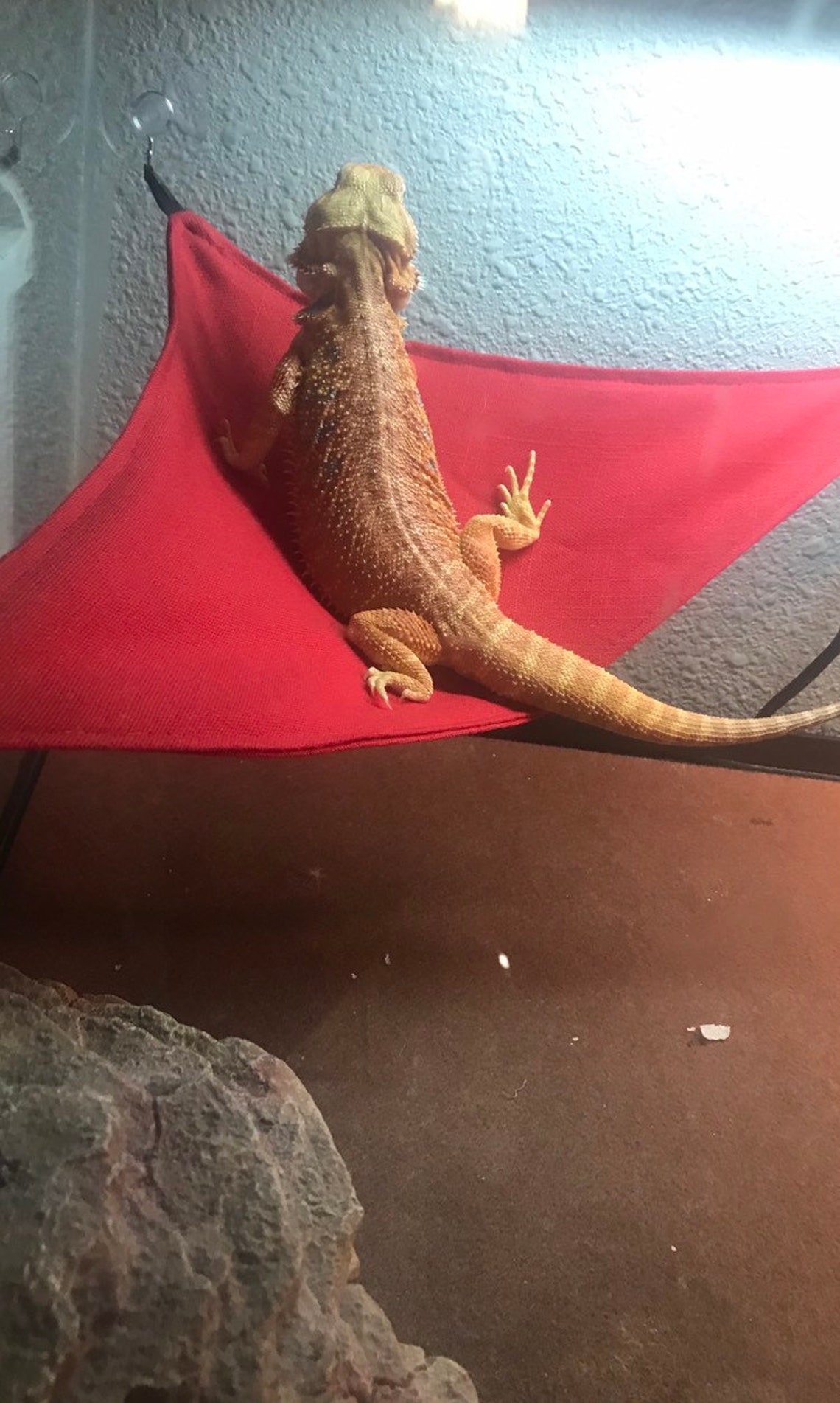 Bearded dragon hammock Etsy