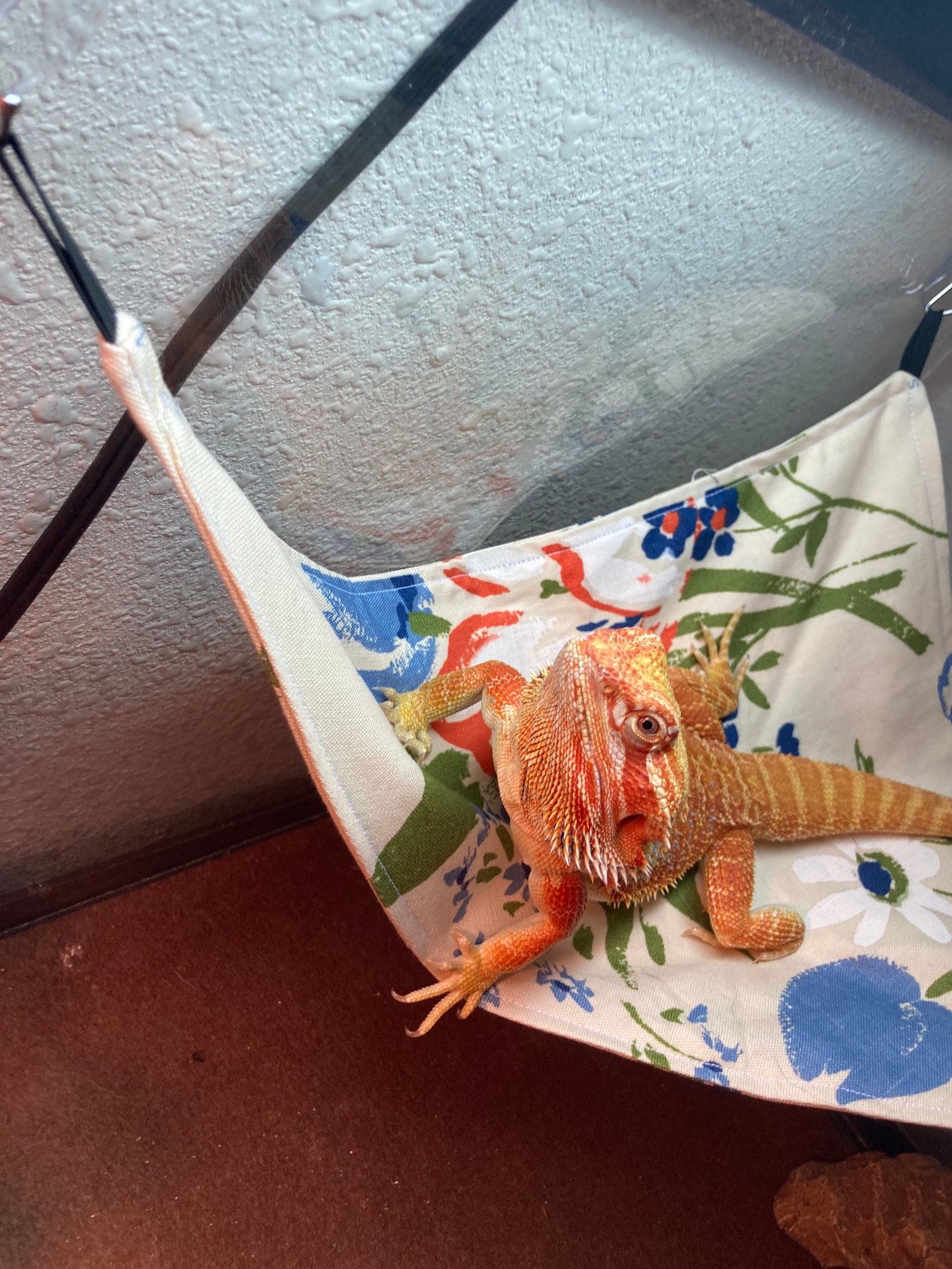 Bearded dragon hammock Etsy