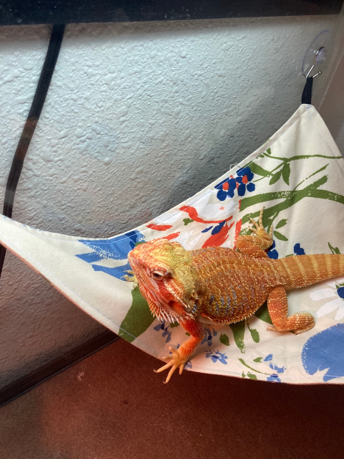 Bearded dragon hammock Etsy