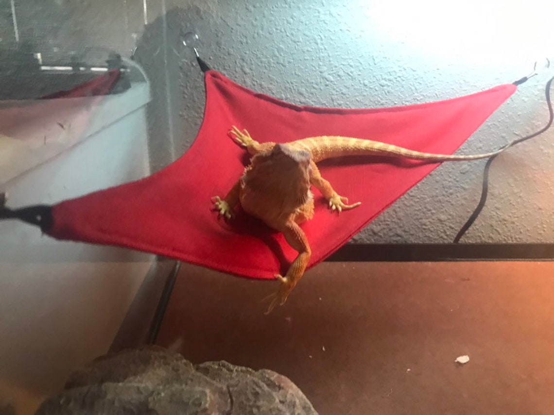 Bearded dragon hammock Etsy