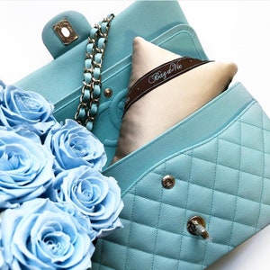 Mini inserto de almohada para bolso Bag-a-Vie que se adapta a bolsos Chanel M/L con solapa para guardar en el armario con calidad patentada de absorción de humedad - 3 colores
