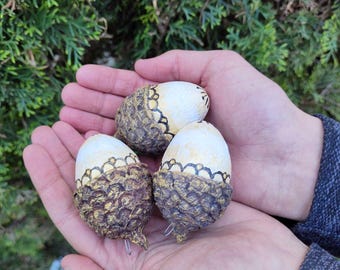 Große Eicheln Wohn Dekor Tischdekoration, Osterdeko Lot von 3 Stück