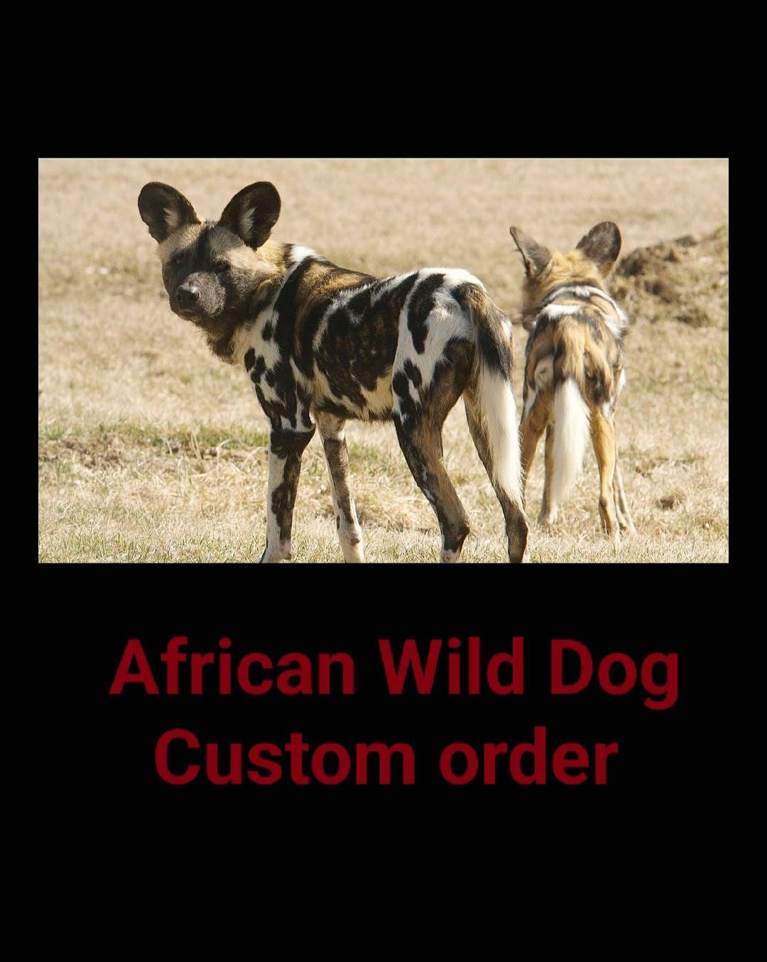 Erica Custom African Wild Dog Ears and Tail Etsy