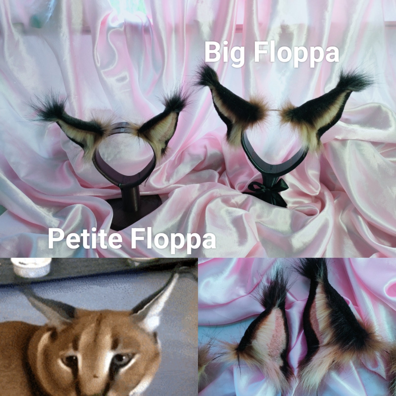 Floppa dissapear :( : r/Floppa