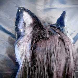Groß Schwarz und Grau Ohren Schwanz Texas Wolf Fox Husky Hund Katze Kitsune Welpen Ohren Stirnband Cosplay Tier Kostüm