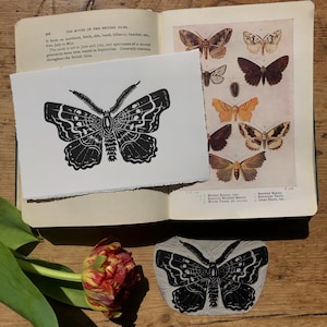 Moth lino print. linocut, wall art, mini print