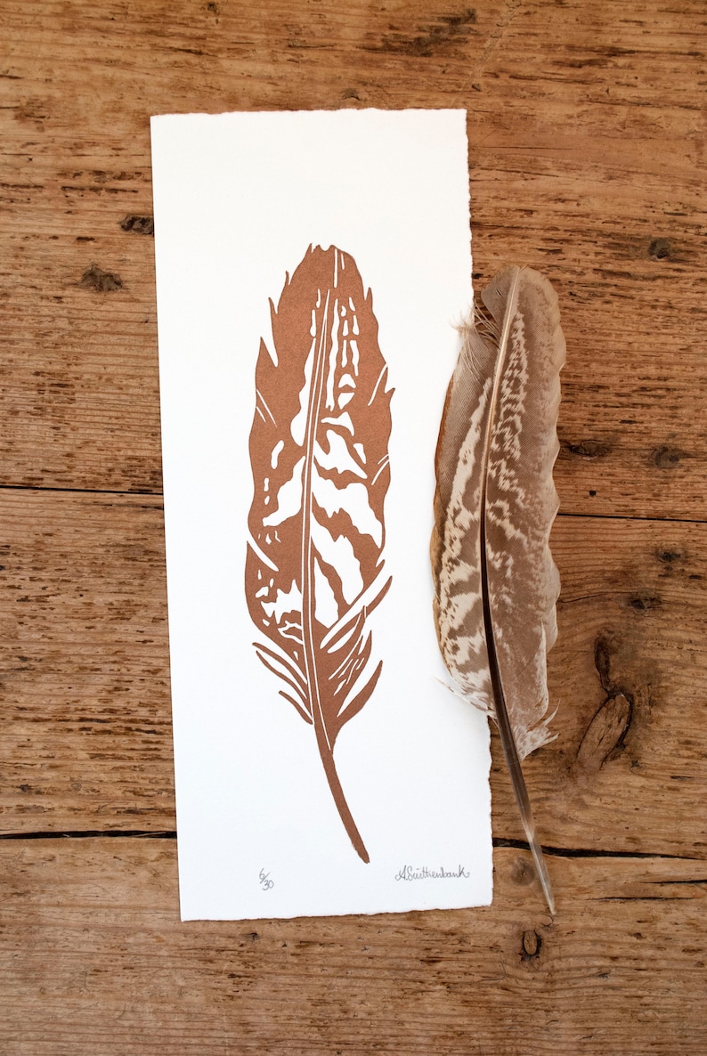 May include: A brown and white feather print on white paper with a real feather on the right side of the paper. The print is signed "d.braithwaite" and numbered "6/30".