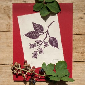 Purple blackberry lino print on japanese kitakata paper. Wall decor, handmade