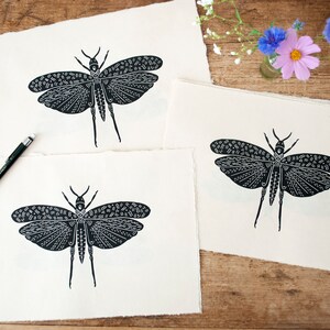 Open wing grasshopper Handprinted on Awagami kitakata paper image 6