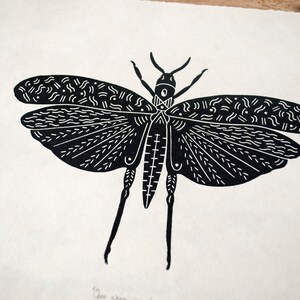 Open wing grasshopper Handprinted on Awagami kitakata paper image 4