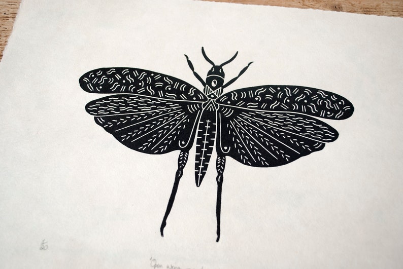 Open wing grasshopper Handprinted on Awagami kitakata paper image 4