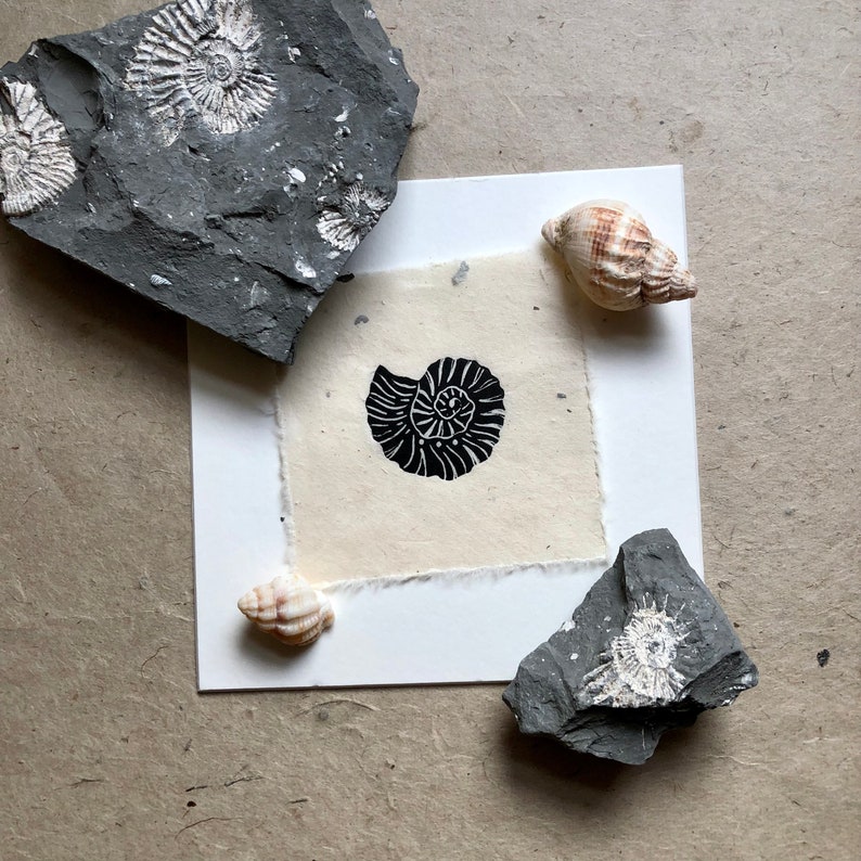 Mini Ammonite fossil linocut print image 5