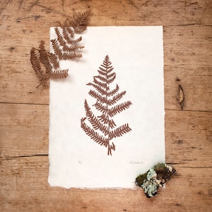 Autumnal dried fern linocut print, hand printed on Japanese kitakata paper, wall art, home decor