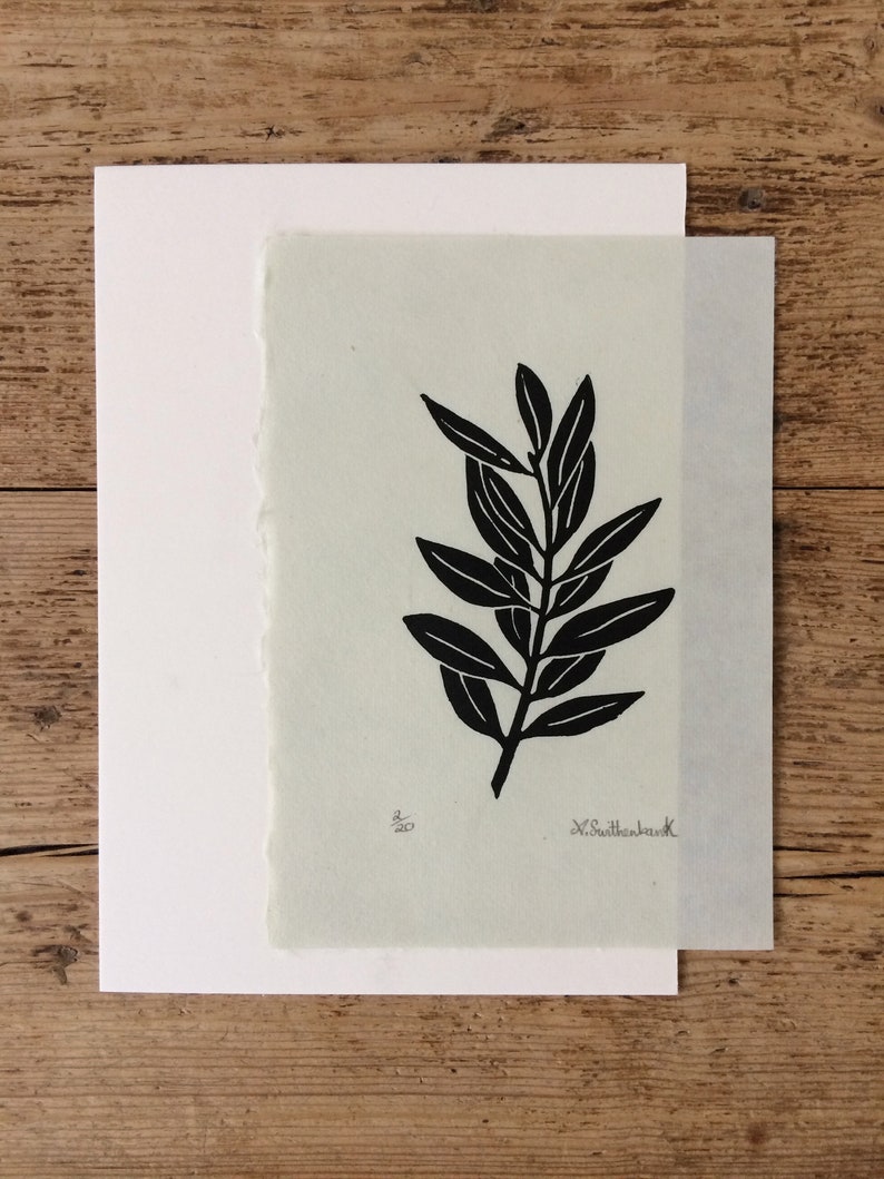 Singular olive branch hand printed on Kitakata green paper, home decor image 3