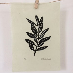 Singular olive branch hand printed on Kitakata green paper, home decor image 4