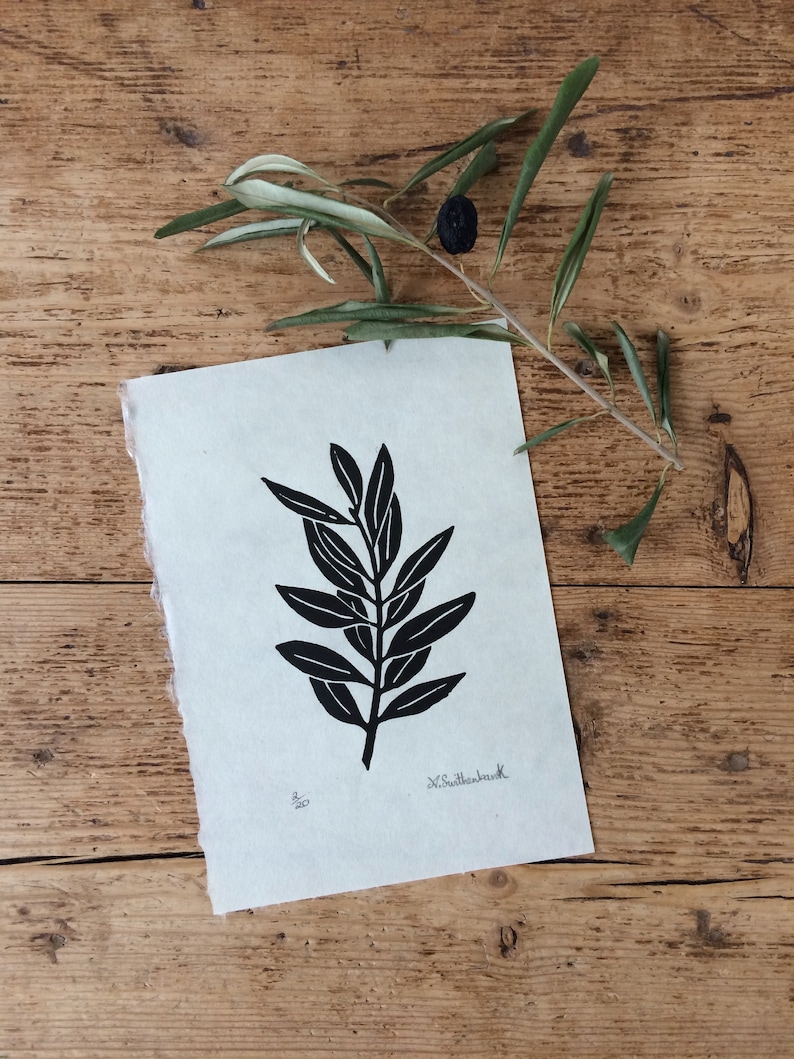 Singular olive branch hand printed on Kitakata green paper, home decor image 2