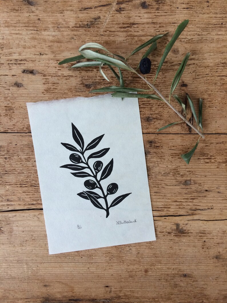 Singular Olive Branch With Details of Olives. Handprinted Etsy