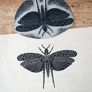 Open wing grasshopper Handprinted on Awagami kitakata paper image 3