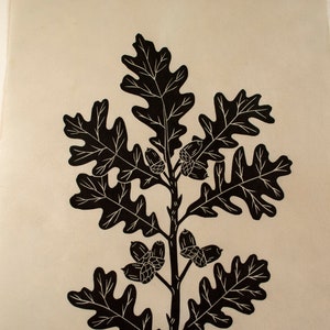 Oak branch linocut print on green Japanese Kitakata paper image 4