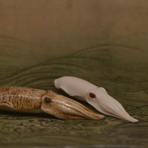 Squid