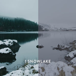 Puede incluir: Una imagen dividida que muestra un lago con una orilla rocosa cubierta de nieve y un bosque en el fondo a la izquierda. El lado derecho muestra la misma escena pero con una paleta de colores desaturada.