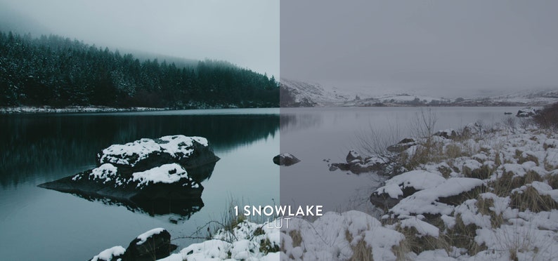 Puede incluir: Una imagen dividida que muestra un lago con una orilla rocosa cubierta de nieve y un bosque en el fondo a la izquierda. El lado derecho muestra la misma escena pero con una paleta de colores desaturada.